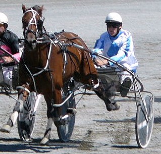 Holme Fire unwinds well along the inner for Scott Stewart at the Rangiora workouts. holme fire rang